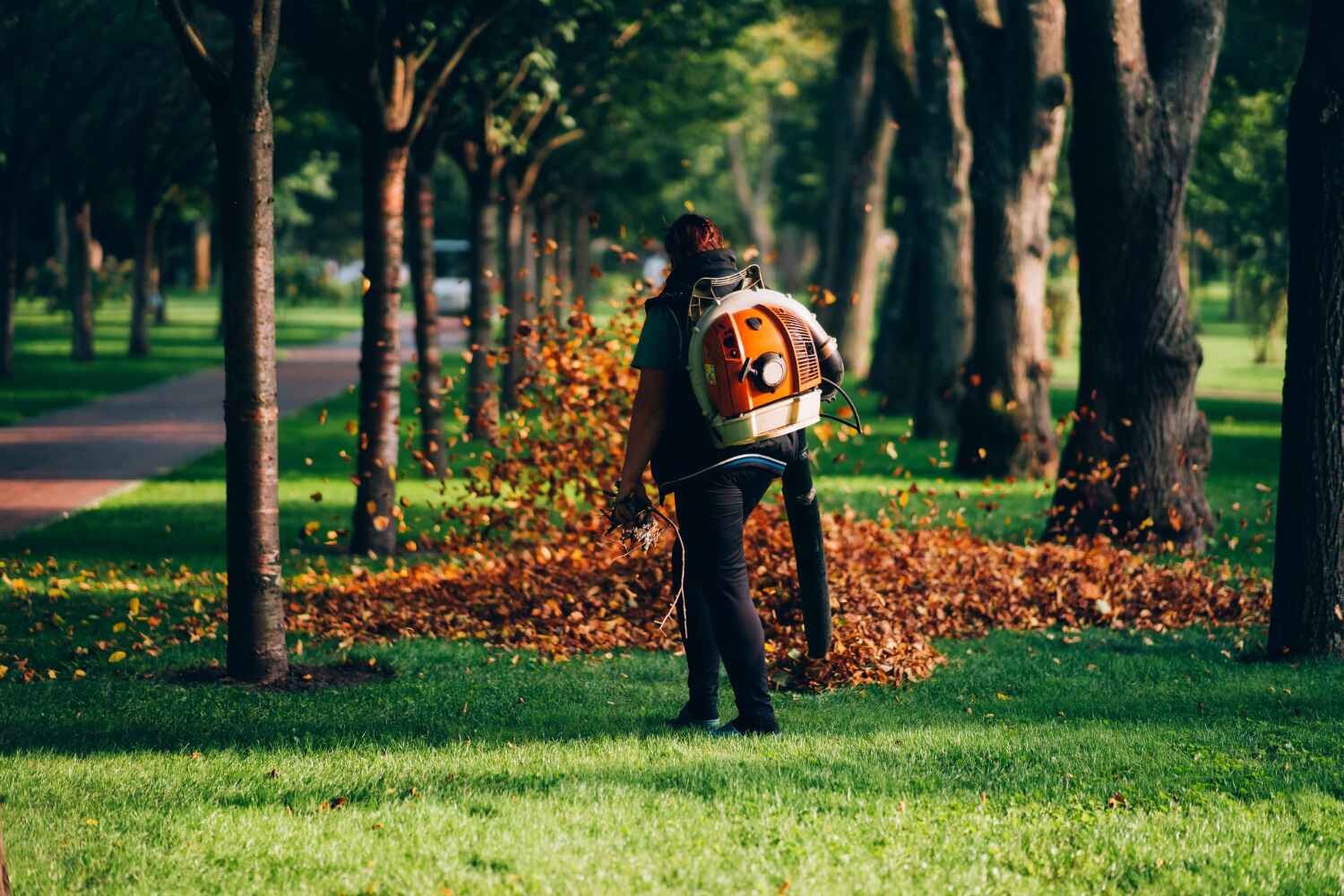 Best Tree Pruning Services  in Brownsboro, TX